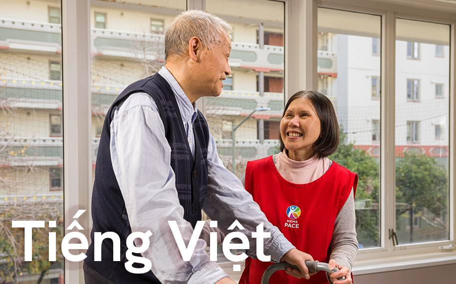 NEMS PACE San Francisco Brochure (Vietnamese)